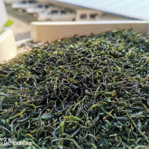 随县 湖北省随州市云雾毛尖茶散称一级