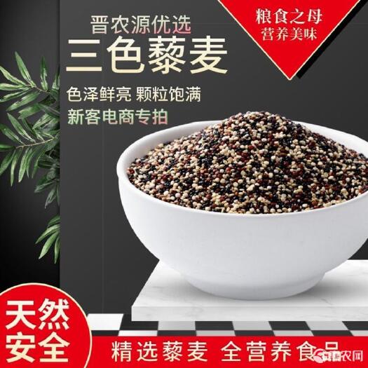 郑州 三色藜麦 精选1斤真空装9袋