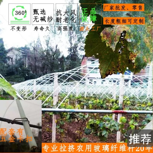 东莞市大棚杆  玻璃纤维杆葡萄避雨棚杆支架保温育苗保温农用小拱棚杆
