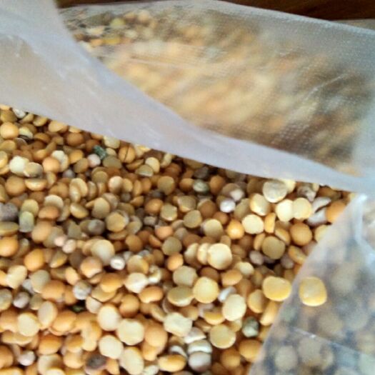 长沙龙虾饲料 龙虾豆