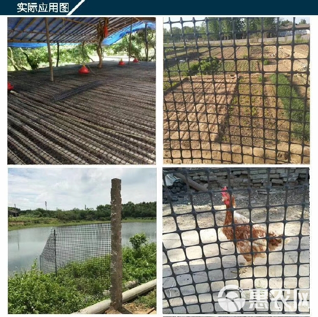 抗晒圈玉米网荷兰网塑料养殖网圈地围栏网拦鸡鸭网鱼塘大棚防水网