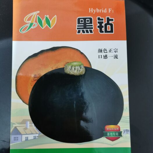 曲靖南瓜种子、黑皮南瓜种子