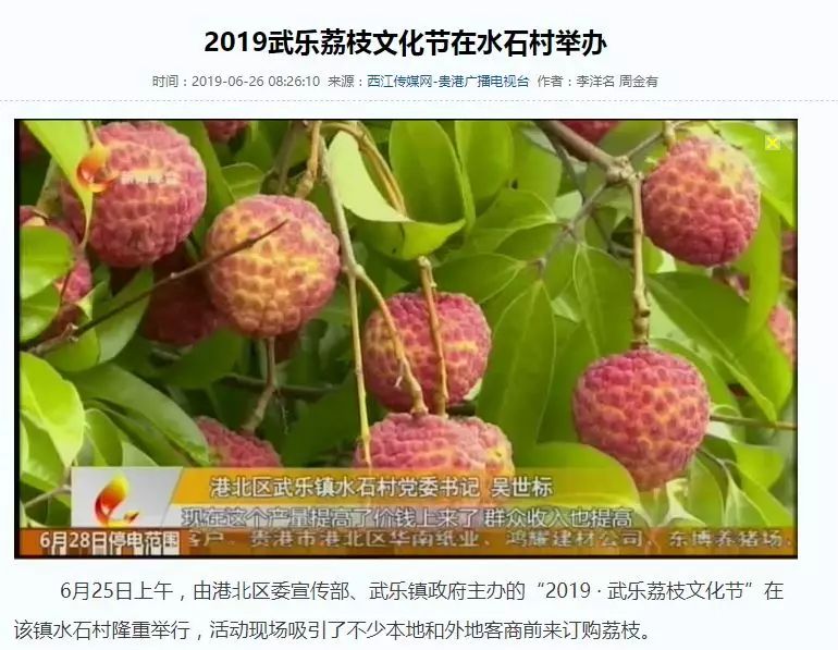  水石荔枝果肉凝脂、晶莹清脆，口感异常香甜