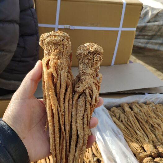 岷县岷当归  水洗有硫黄当归   十支归   五支归   自家种