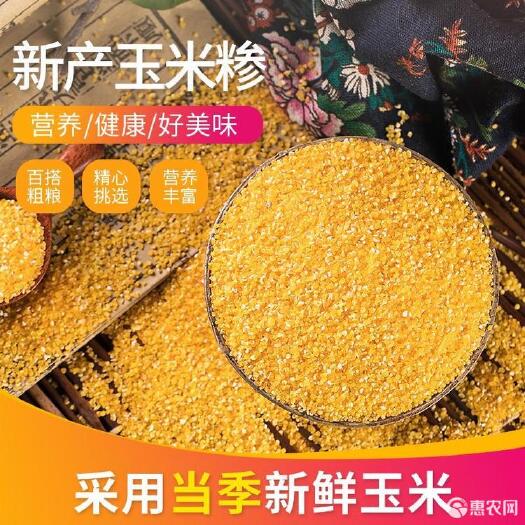 郑州优选玉米渣 玉米糁 苞米渣 粒玉米粒 粗粮 煮粥熬粥原材料