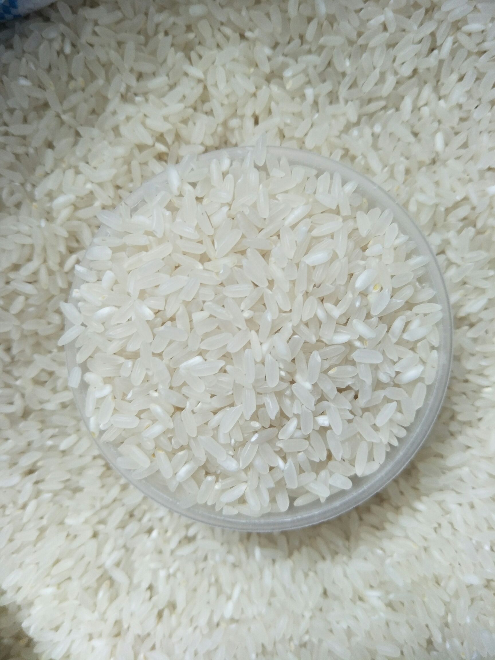 稻花香   东北大米