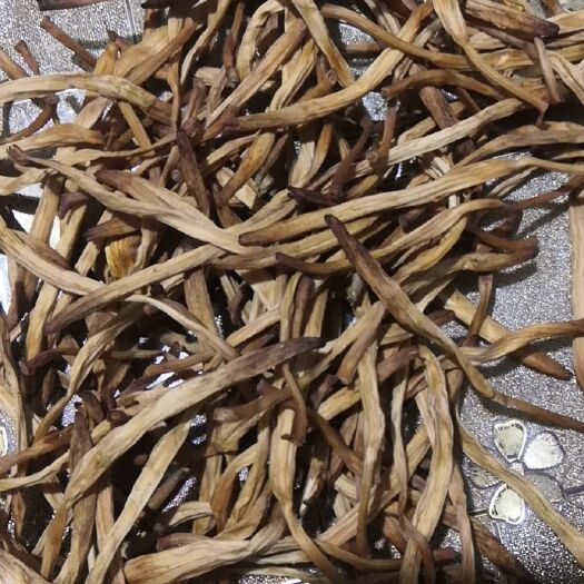 大荔县 各种档次黄花菜常年供应，2020新货上市中！！！！