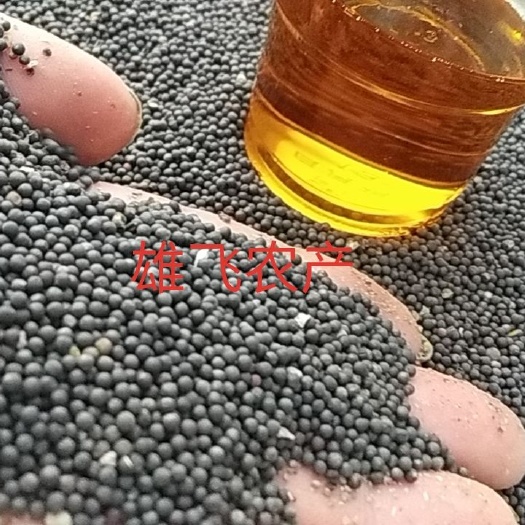 荆州油菜籽  2024年菜籽净菜籽毛菜籽本地菜籽