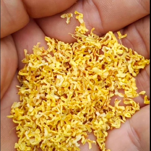 咸宁桂花瓣
