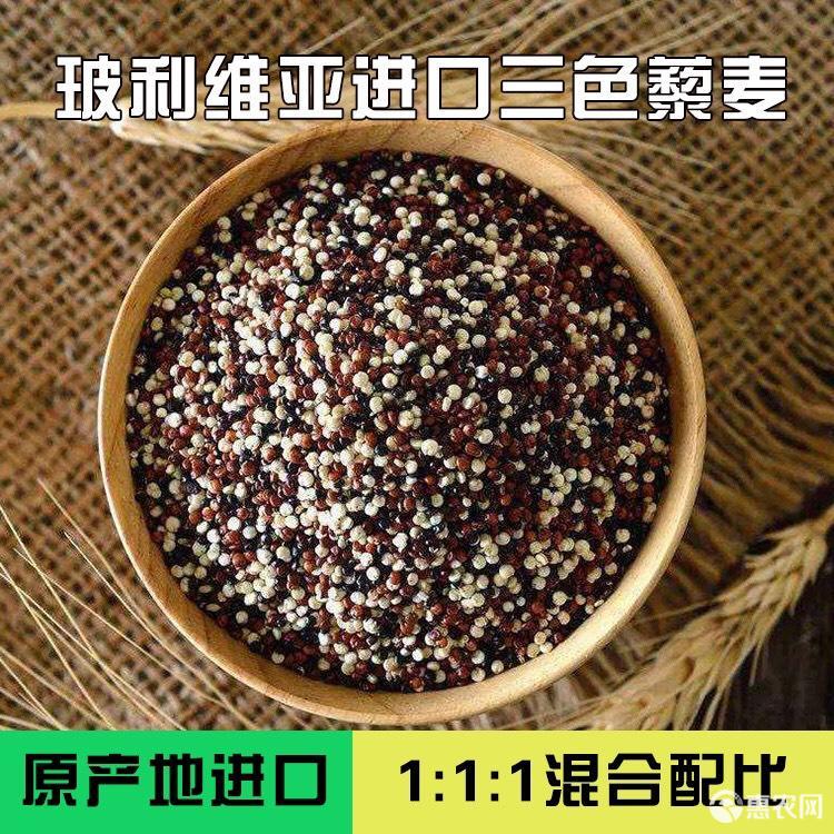  玻利维亚 三色藜麦 纯藜麦1斤包邮 品质保证