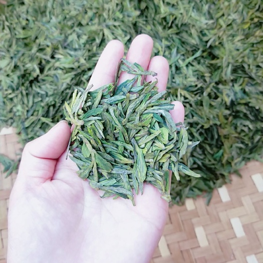 歙县龙井茶 黄山云雾茶