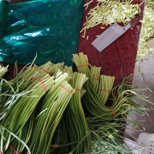 西安蔬菜大棚 精品蒜苔