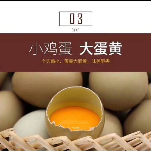 济南常年出售山鸡蛋蛋，质量有保证，破损由我来承担。