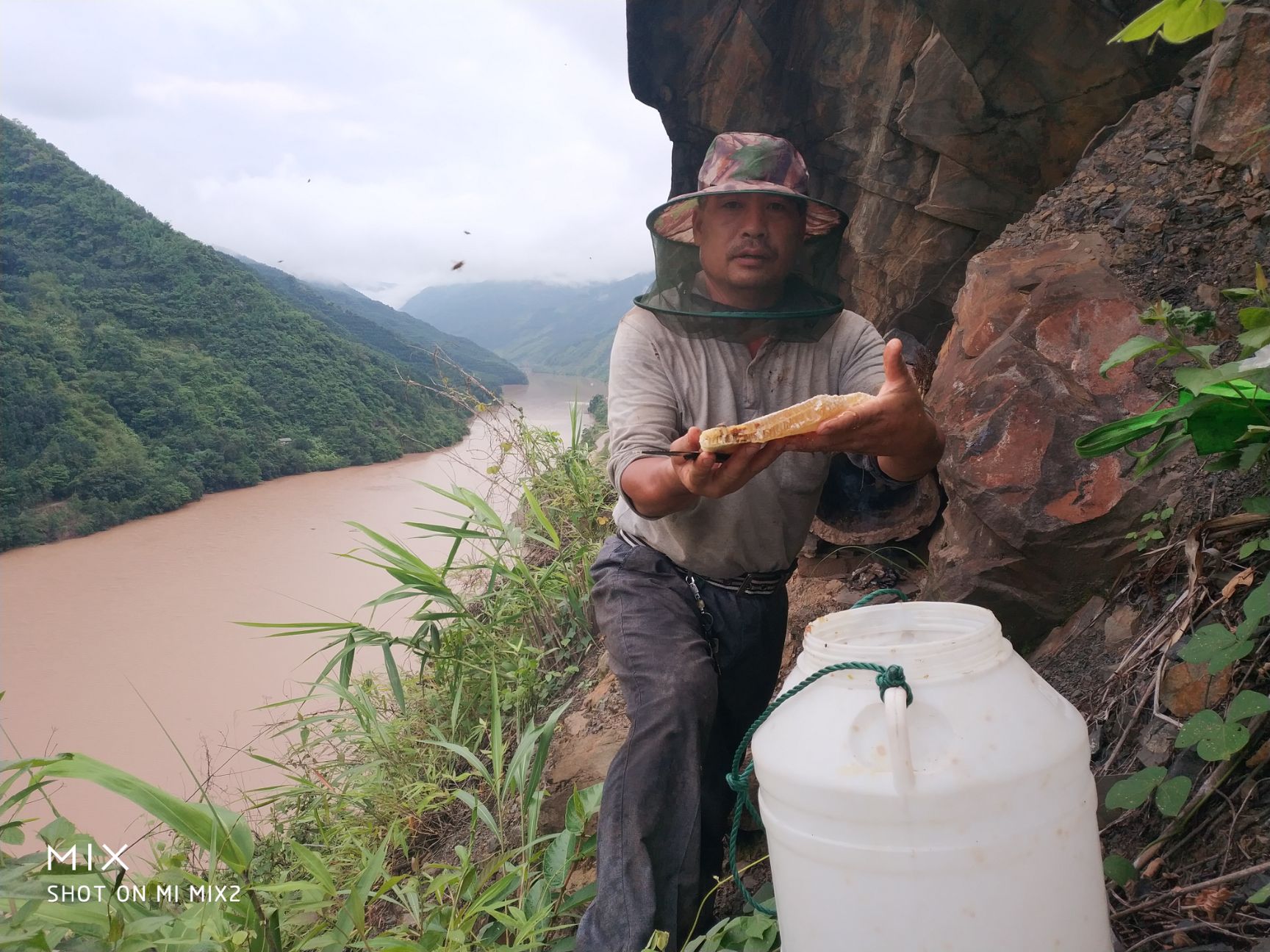  云南墨江生态蜂蜜批发零售:59元/斤（包邮），货真价实，