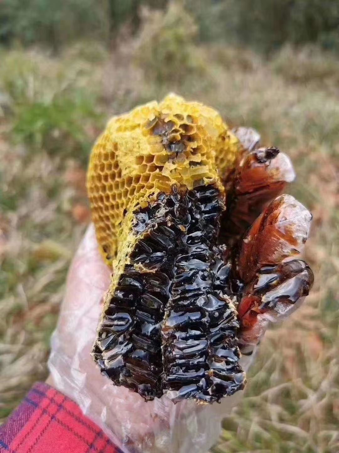  天然无加工缺稀黑蜜高原珍惜黑锋蜂蜜