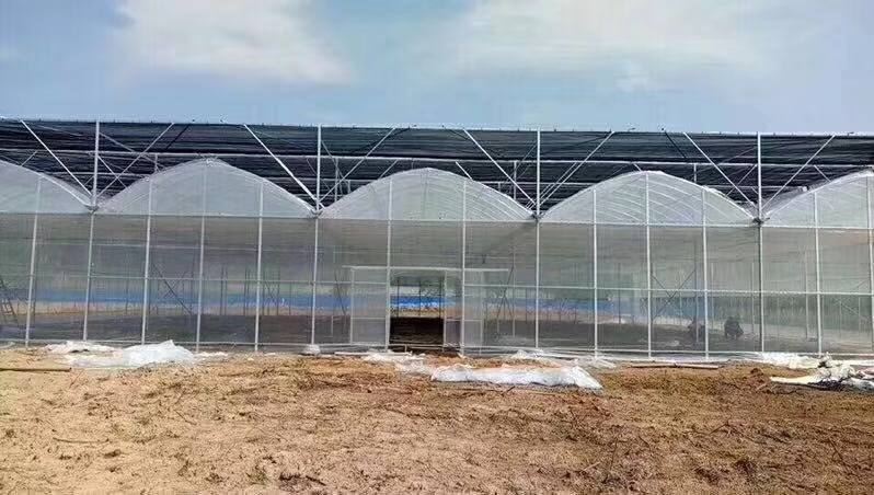 沭阳县热镀锌管 连栋大棚文洛式连栋钢架大棚育苗温室大棚