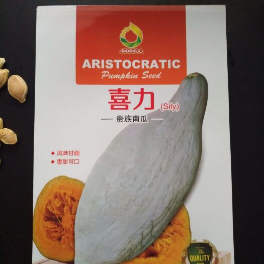 曲靖贵族南瓜种子，南瓜种子，蔬菜种子