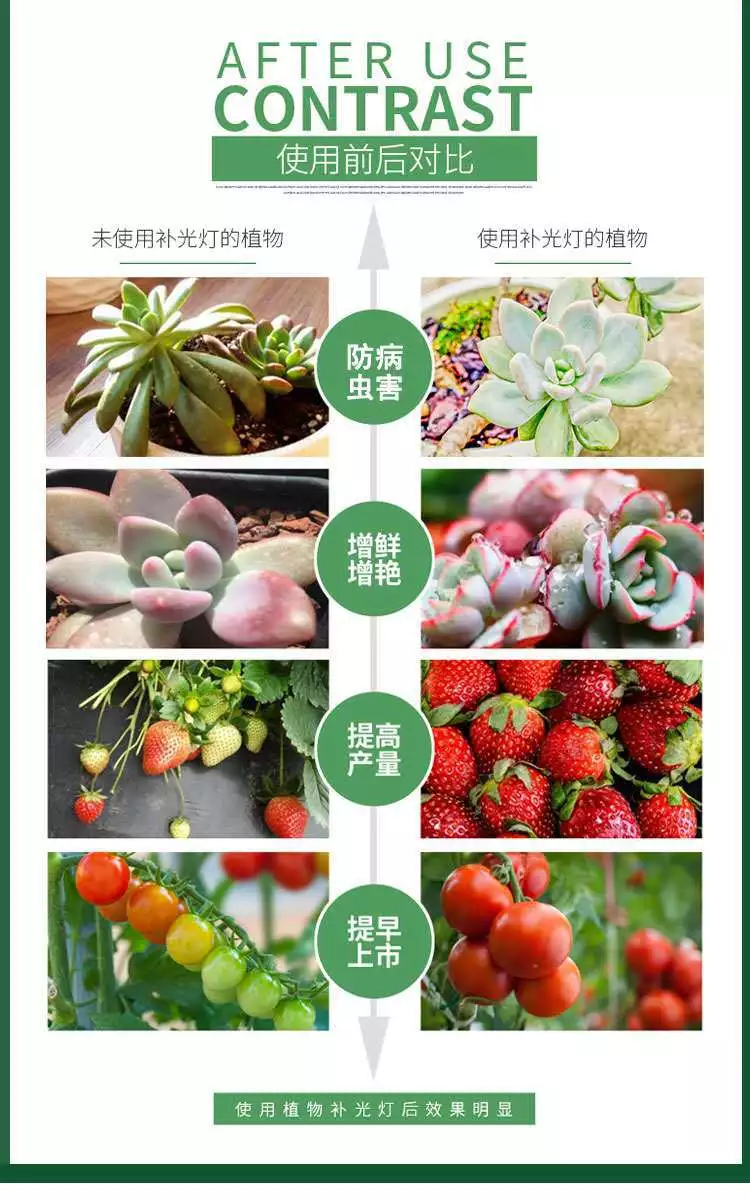 激光 补光灯 生长灯 免费试用