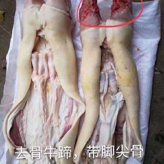 郑州牛蹄筋 半去骨牛蹄，全去骨牛蹄
