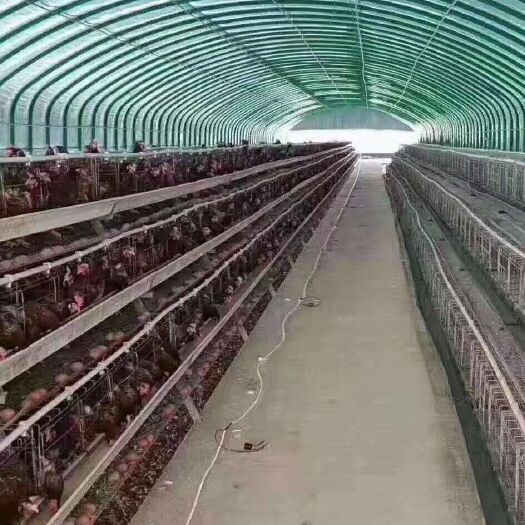 天津 连栋棚养殖塑料温室大棚骨架钢管大棚骨架配件蔬菜大棚设备