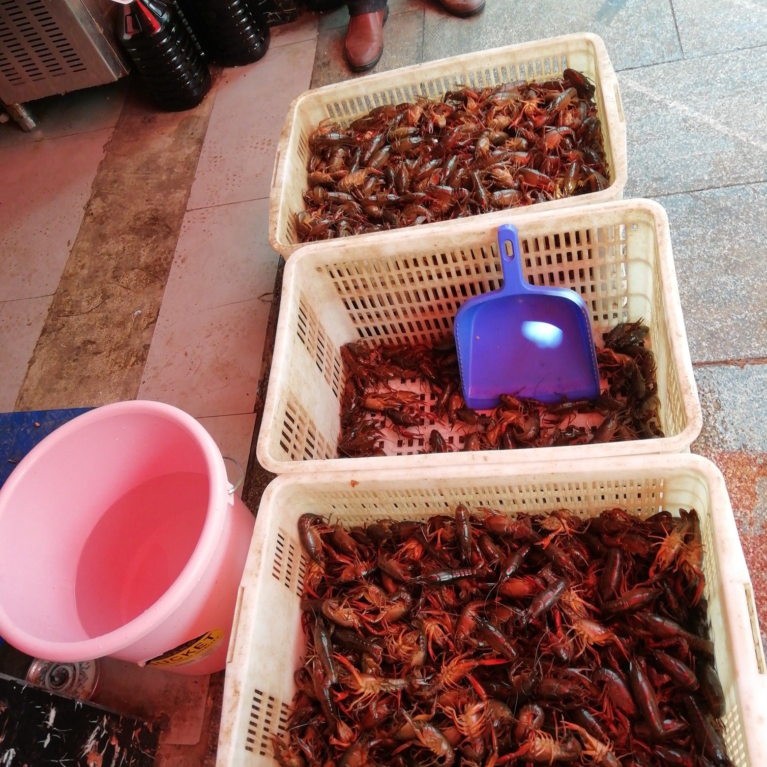  汨罗5吨小龙虾半成品鲜活加工预定销售规格自订。随时价发货