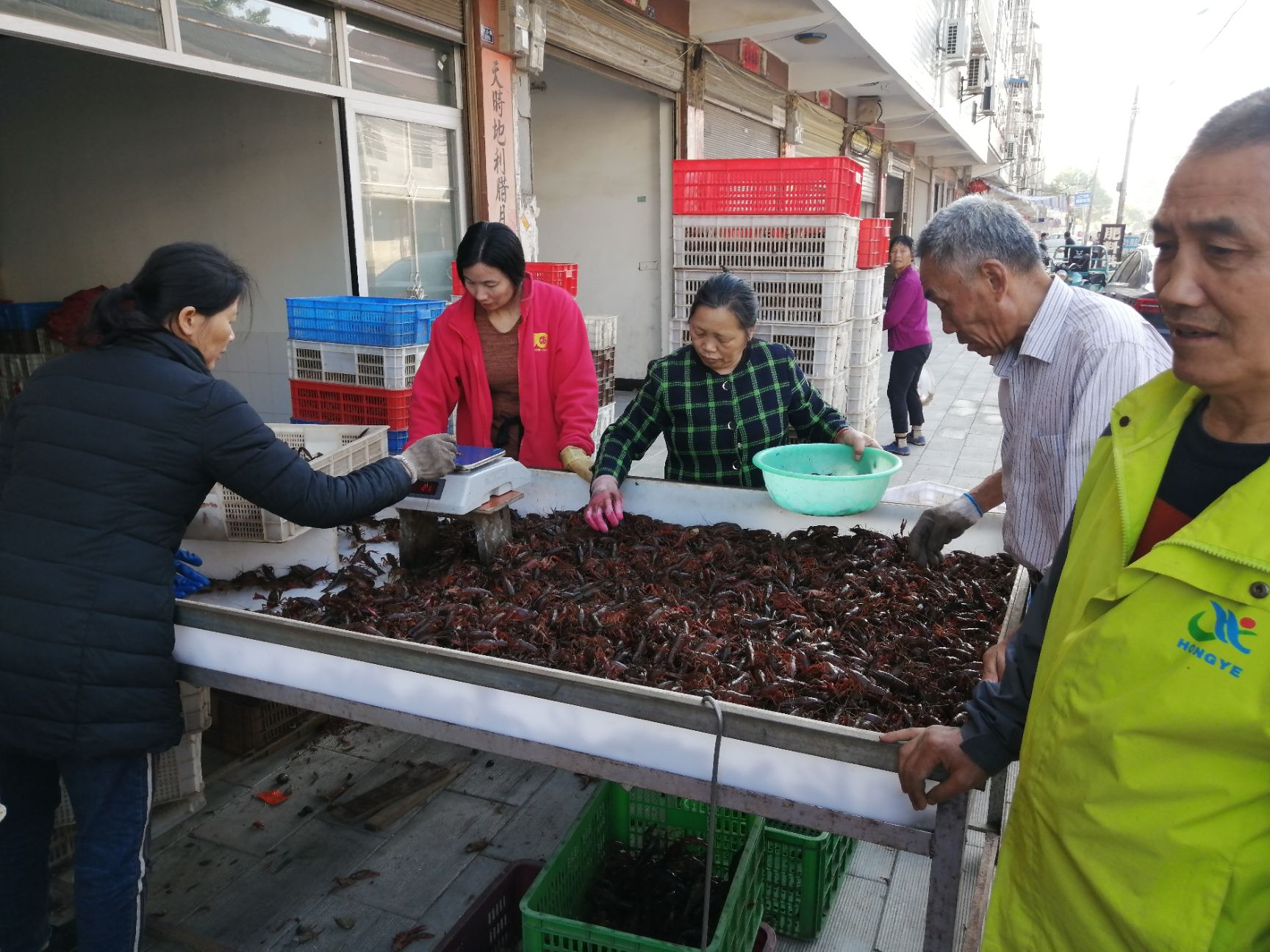  小龙虾 清水小龙虾清水小龙虾