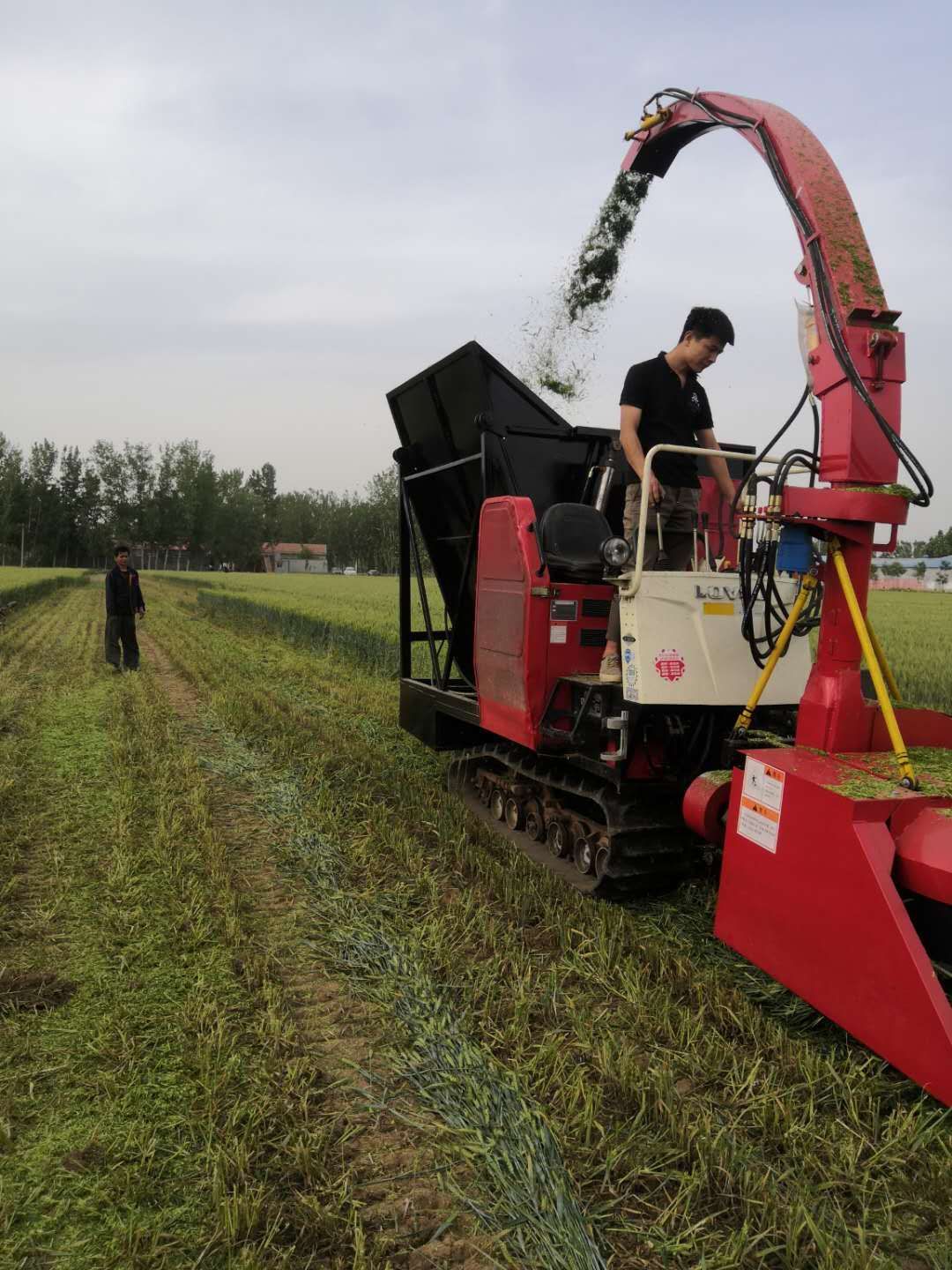 青貯碎草機(jī) 小型履帶青儲(chǔ)機(jī)100馬力加裝1600型割臺(tái)現(xiàn)貨