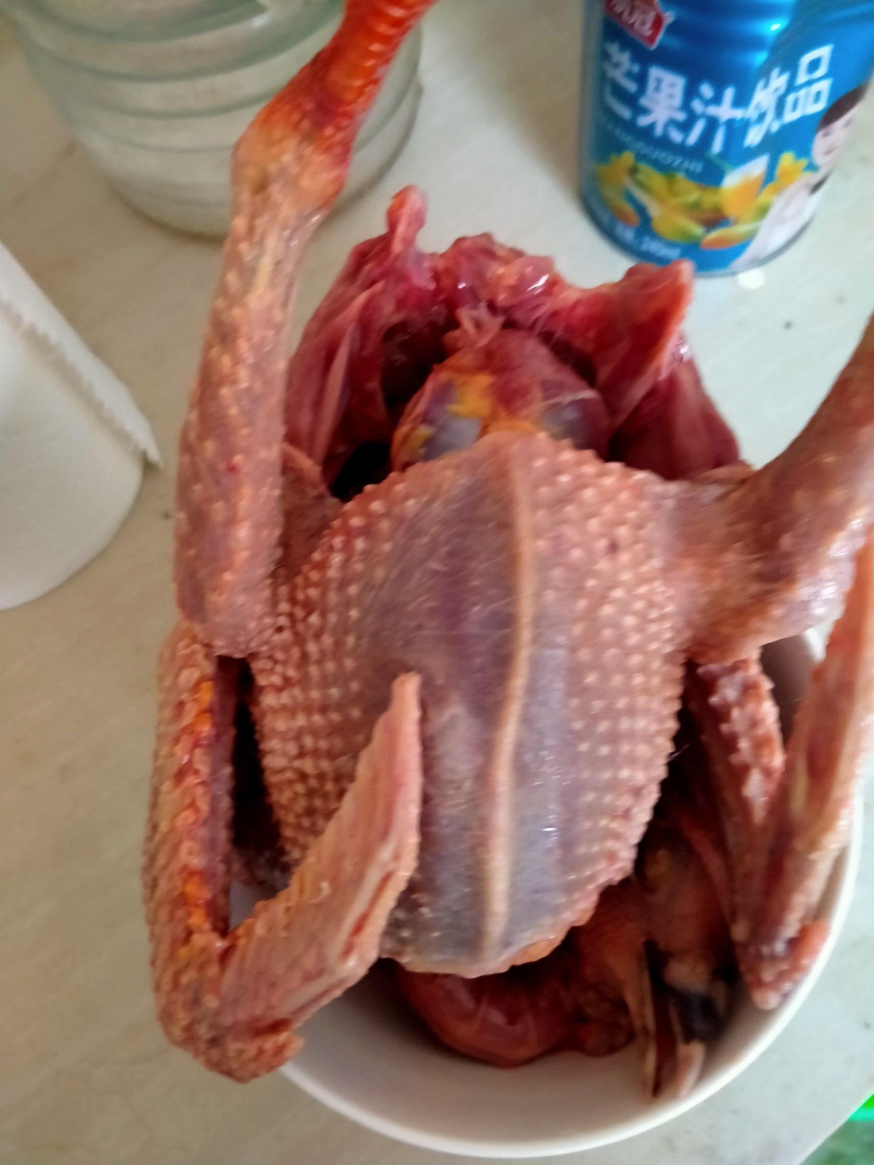 肉鸽肉 白条鸽五至七两左右