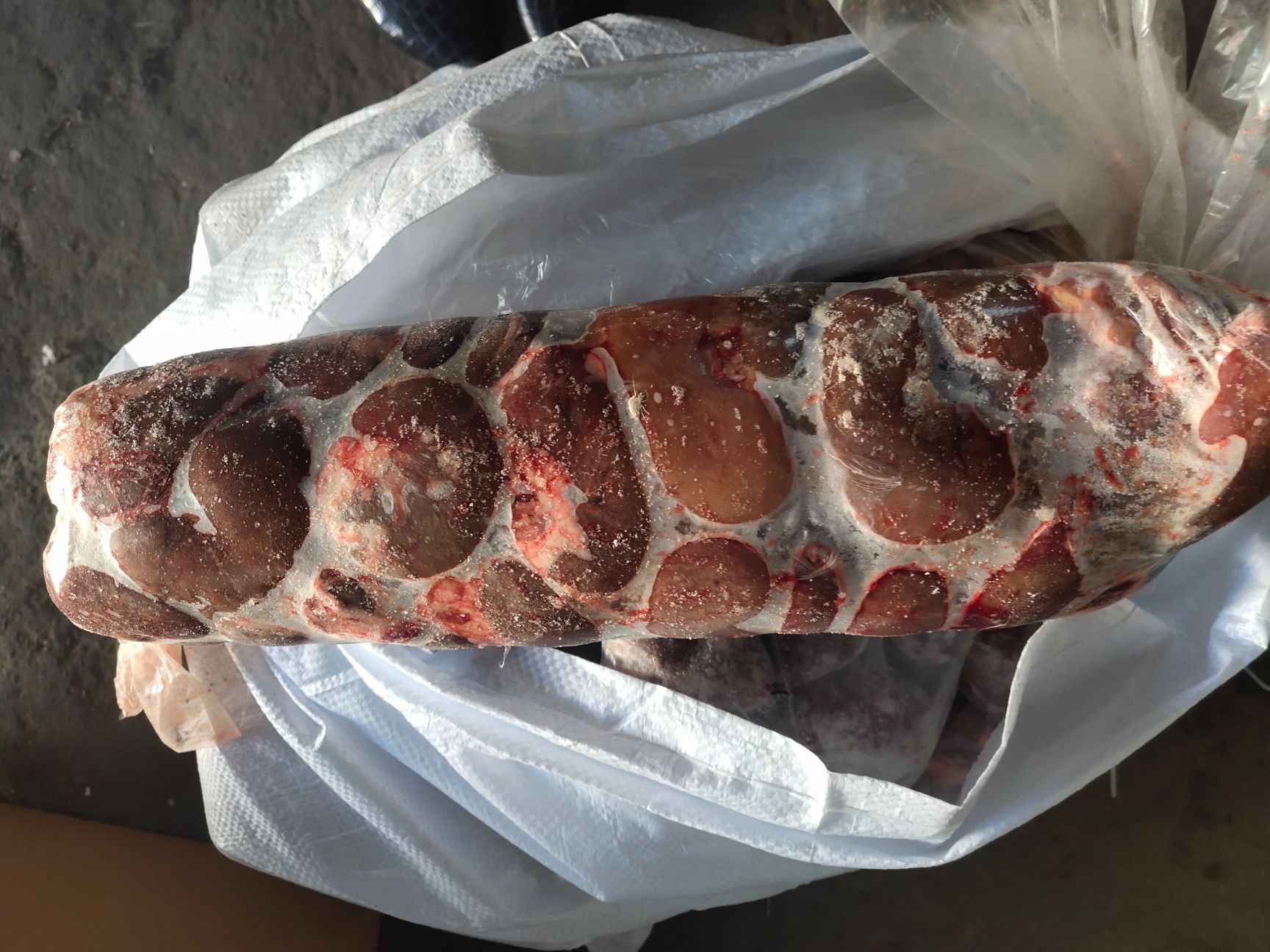 【羊净腰】绵羊的净腰，全国各地物流冷链发货