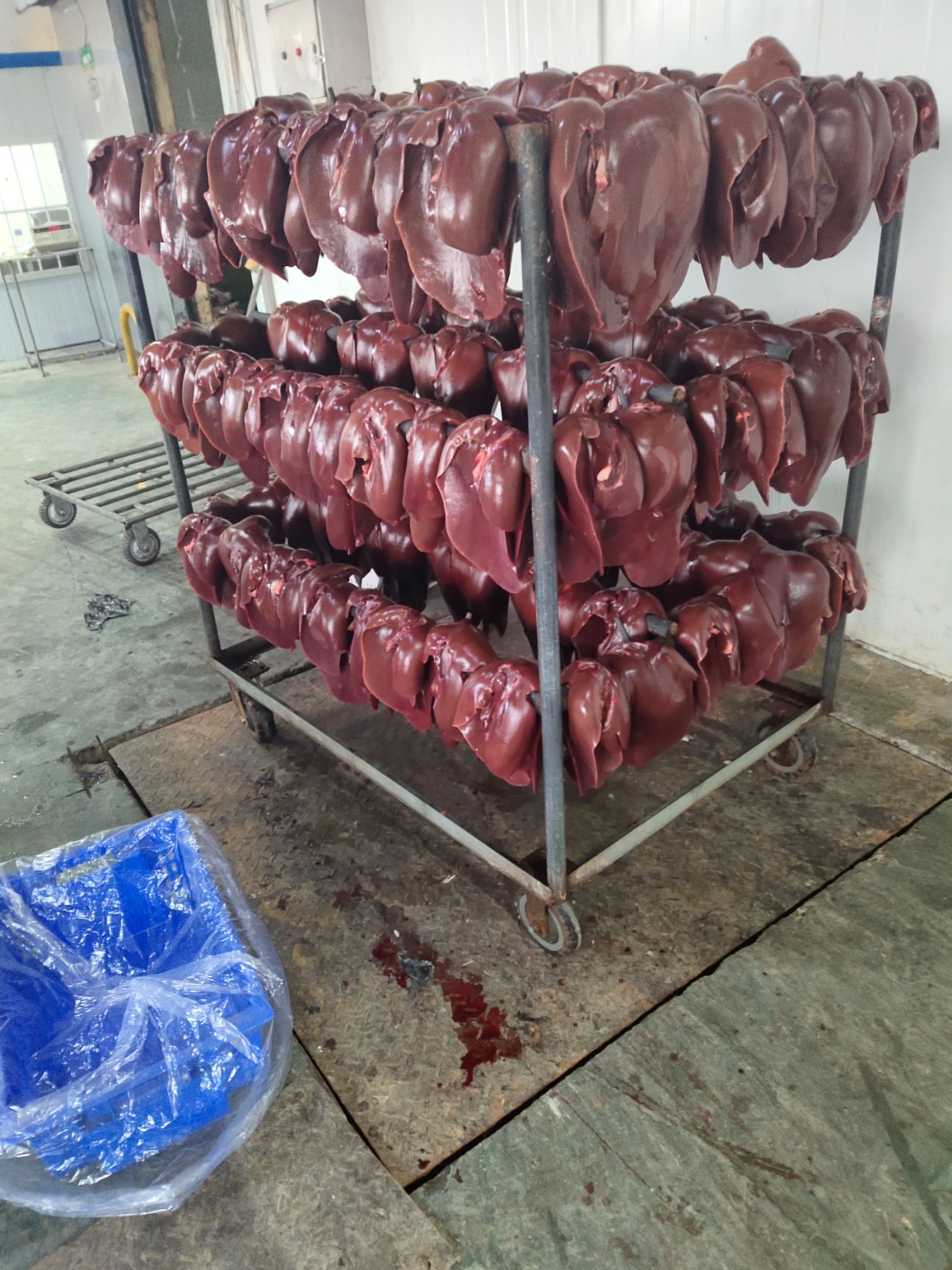 猪肝报价不包运费