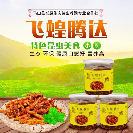 马山县 蝗虫  蚂蚱罐头  休闲小吃