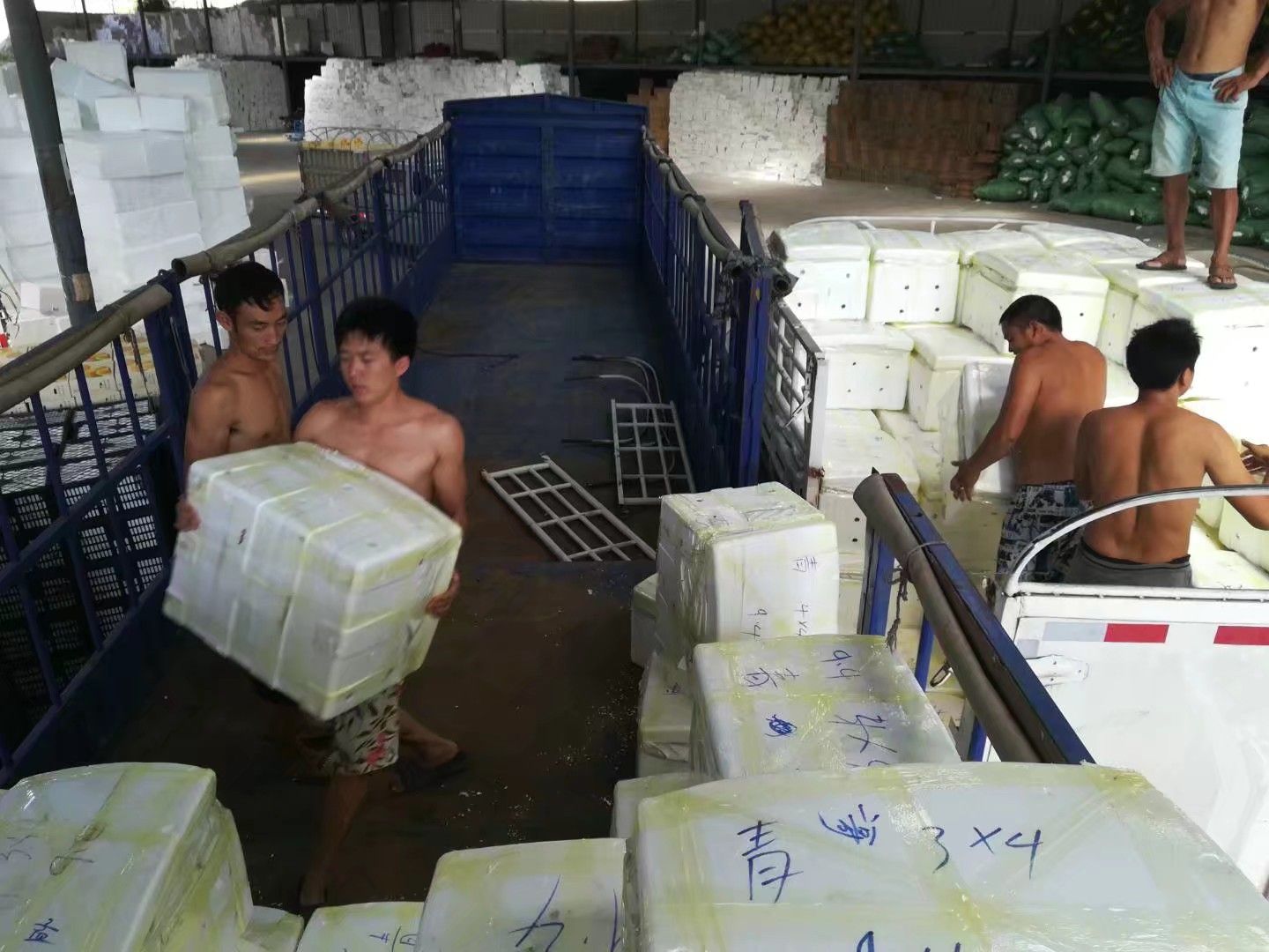 攀枝花金煌芒果 大青芒 支持一件代发  整车出货