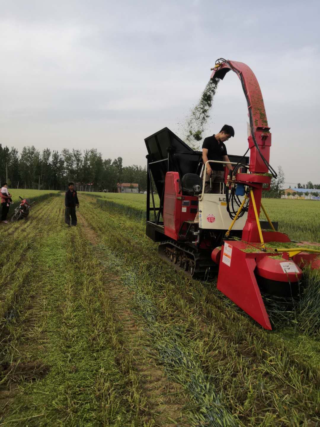 青貯碎草機(jī) 小型履帶青儲(chǔ)機(jī)100馬力加裝1600型割臺(tái)現(xiàn)貨