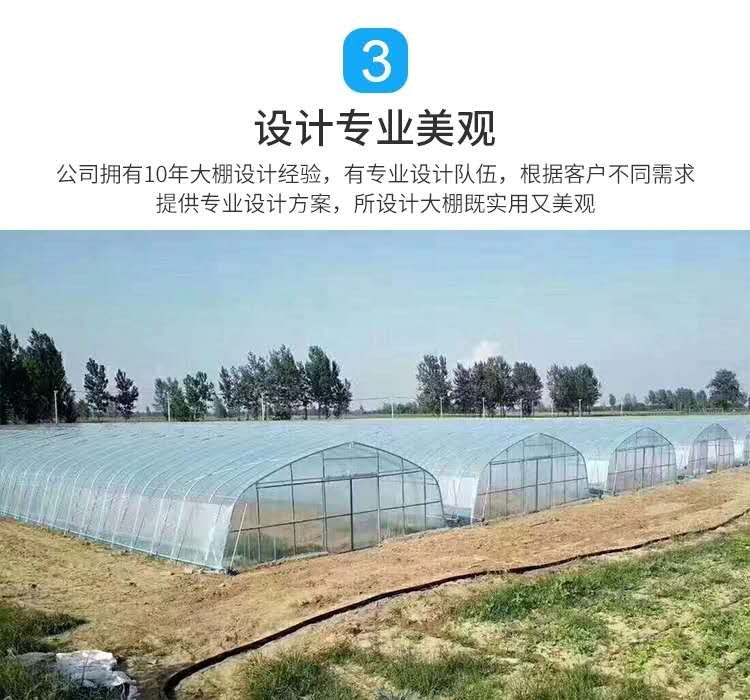  连栋棚养殖塑料温室大棚骨架钢管大棚骨架配件蔬菜大棚设备