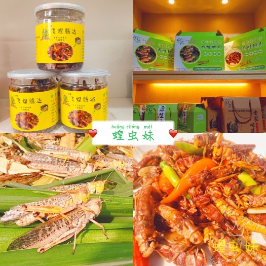 马山县 蝗虫、蚂蚱罐头美食小吃打开即食