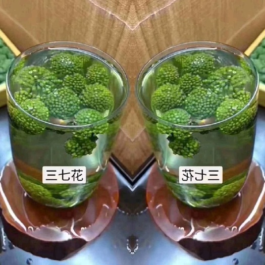 文山市 文山三七花