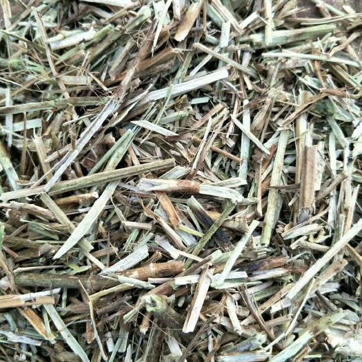 滦南县 唐山一级花生秧