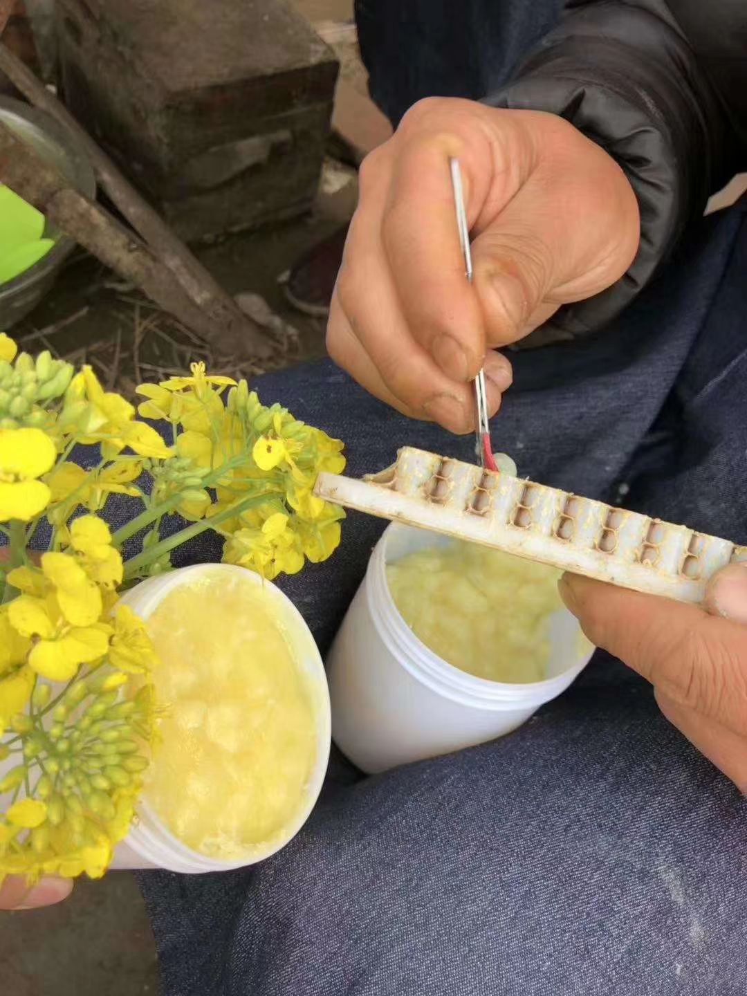 抚松县长白山蜂王浆，纯正，保真，需要的联系我！