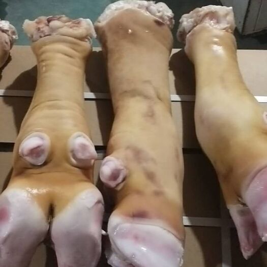 阳信县火烧毛牛蹄可锯块做小包装电商，饭店价格超低