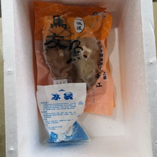 湛江马友鱼马鲛鱼午鱼500g（湛江海鲜特产一夜埕）