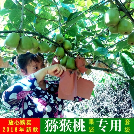 南江县种植套袋  红阳红心猕猴桃果袋专用套袋防虫纸袋子20新款环保