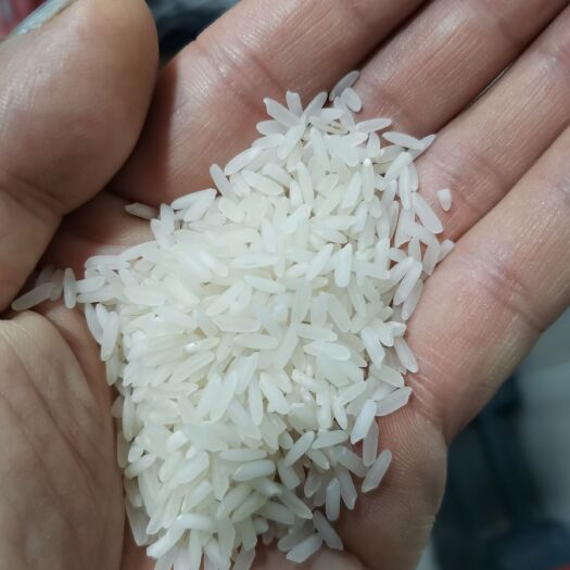 仙桃市大米  精品丰两优标米！