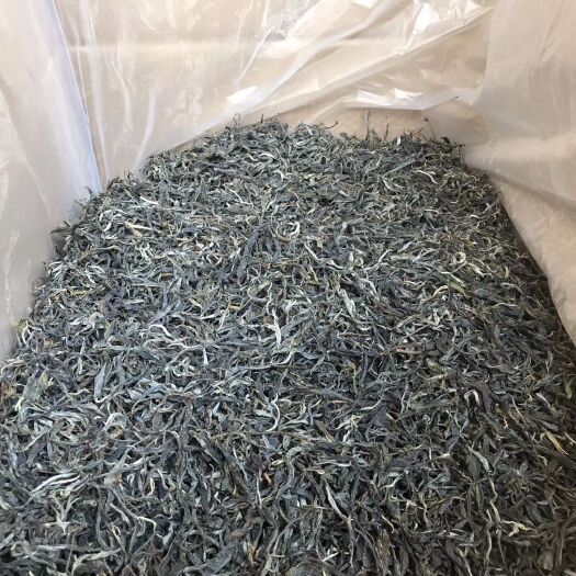 思茅 2020春勐库大树普洱茶