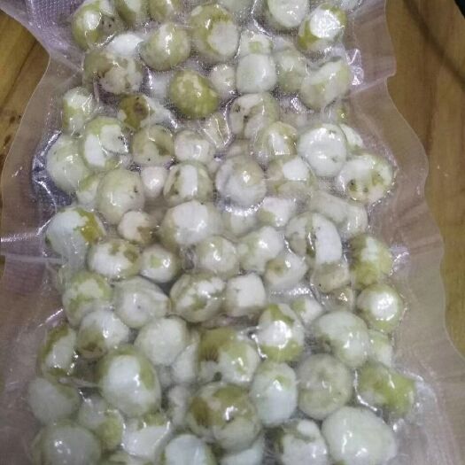 阳江珍珠马蹄 自家產自家銷售珍珠馬蹄