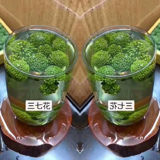文山市三七花