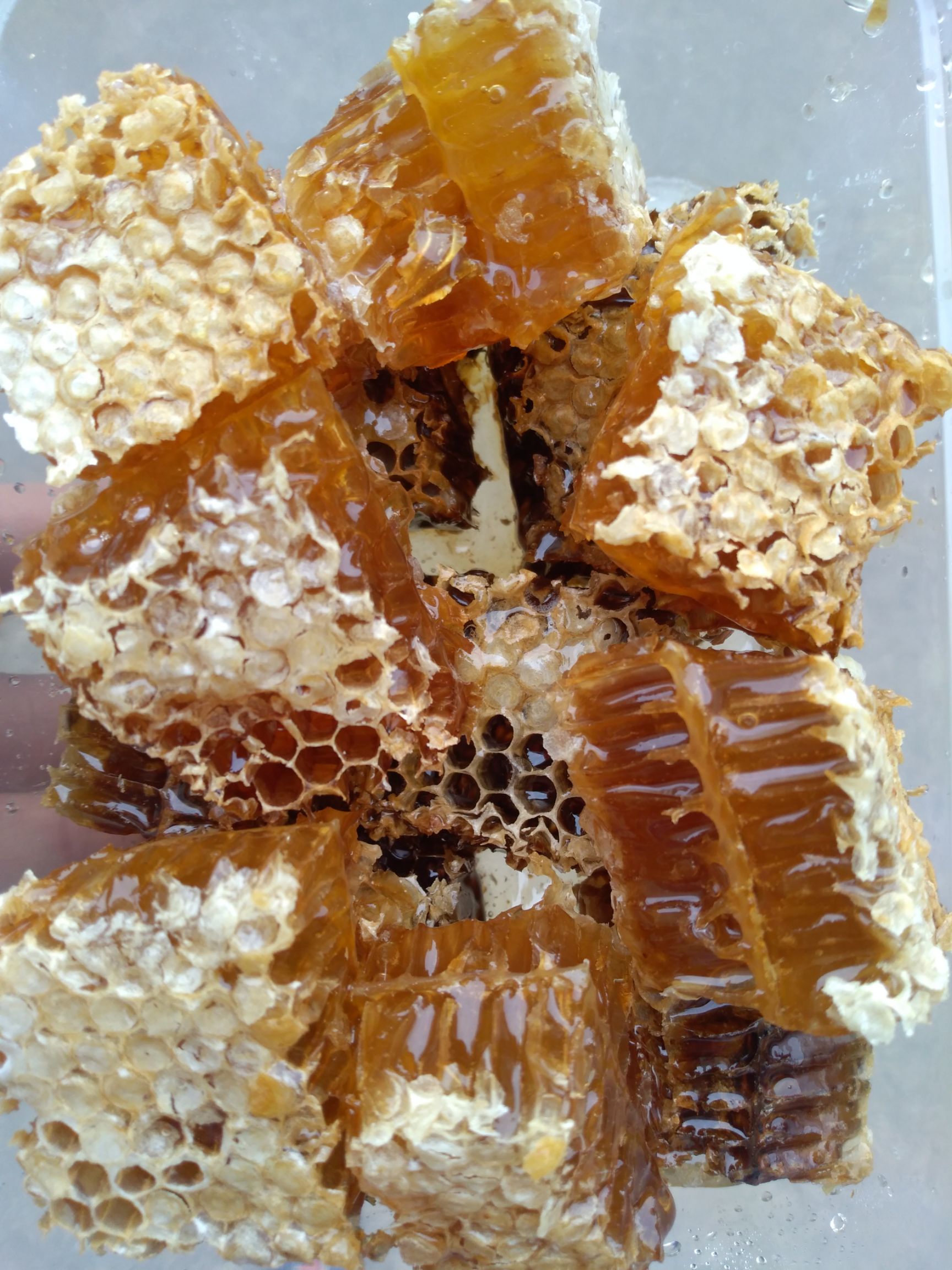天然蜂蜜图片大全大图图片