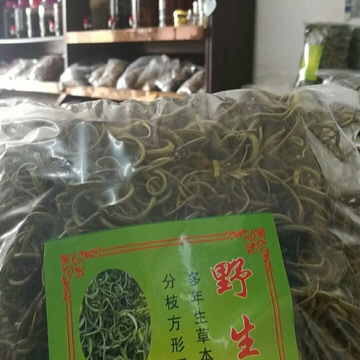 乐业县化石草