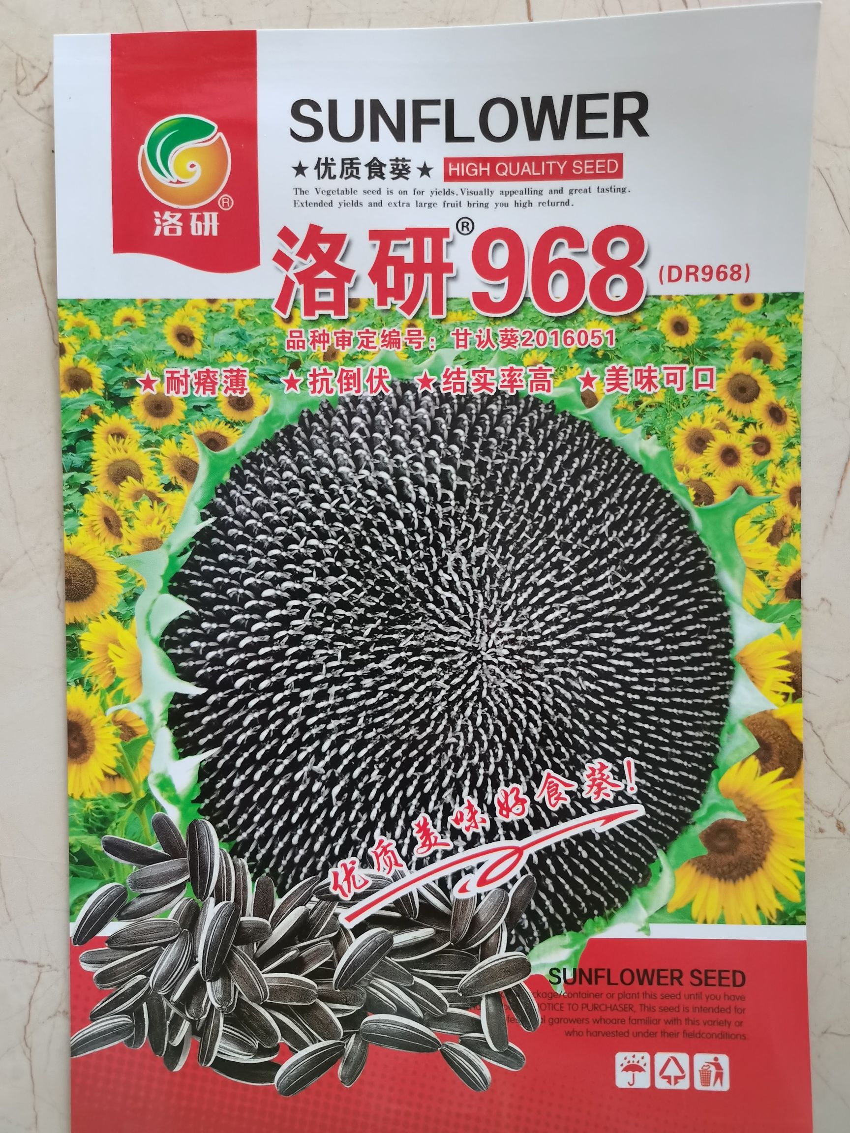 郑州向日葵种子  食用葵花种子 现货包邮 洛研968