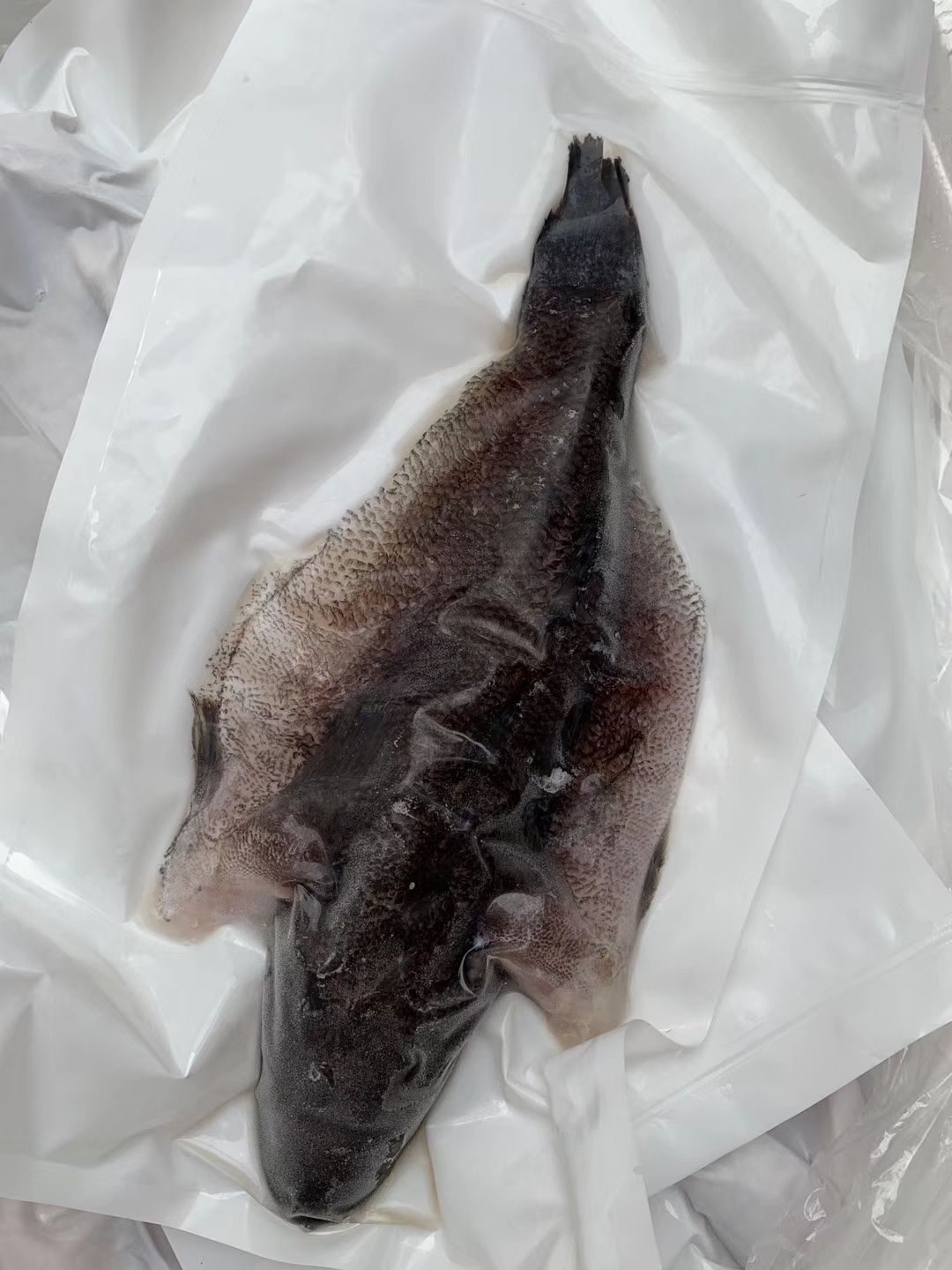 冻品笋壳鱼