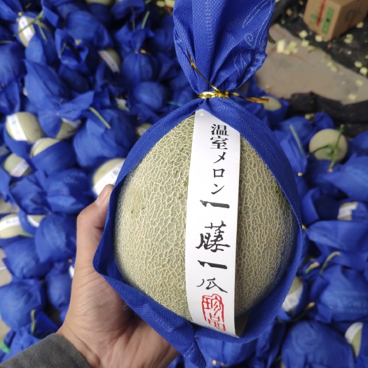 网纹瓜  精品鲁厚甜蜜瓜 香甜多汁 脆蜜，玲珑蜜瓜。大量上市